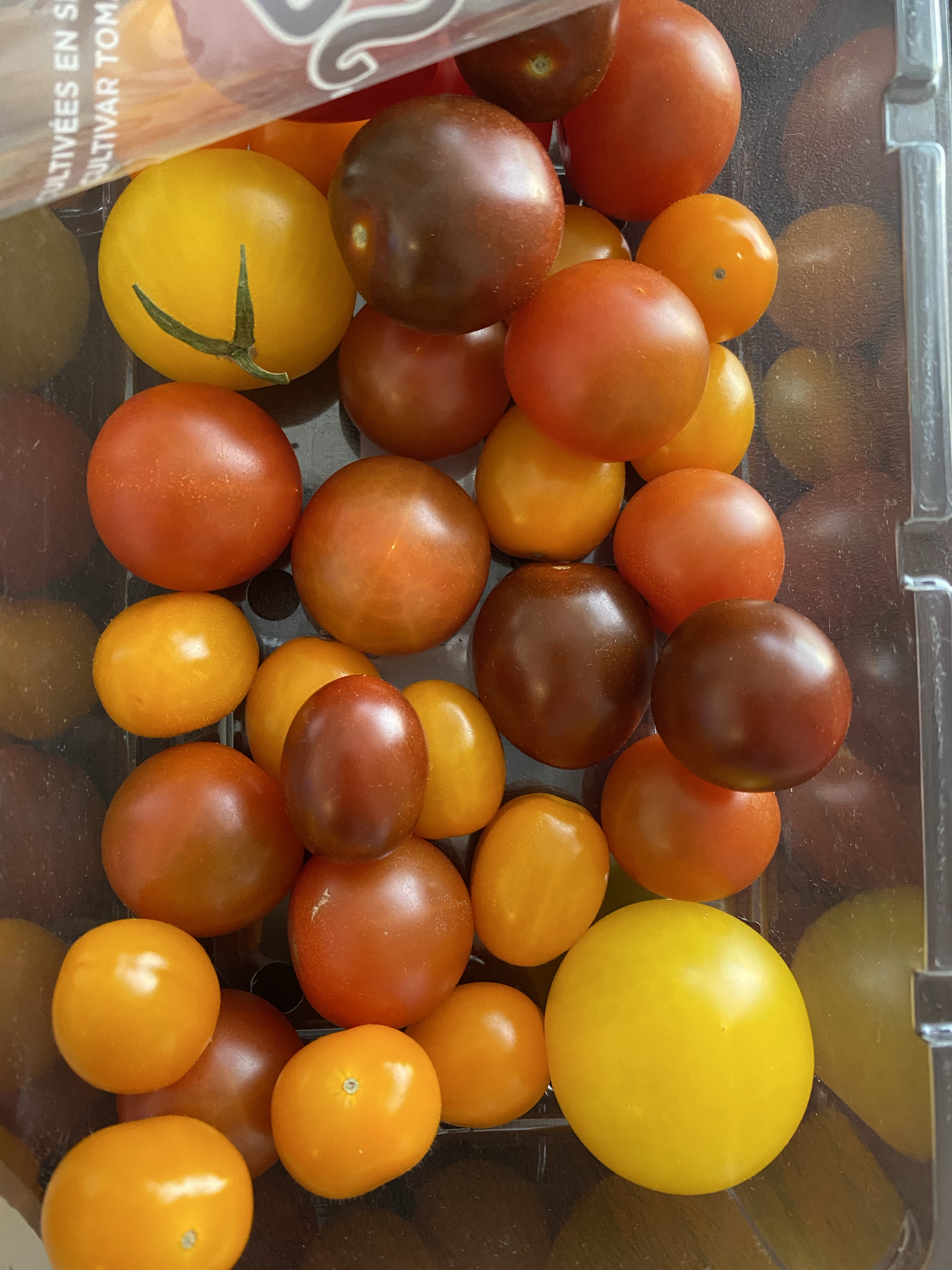 10 Healthy Travel Friendly Snacks