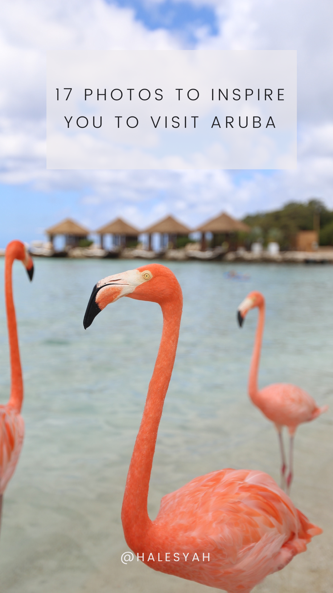 17 Photos to Inspire You to Visit Aruba