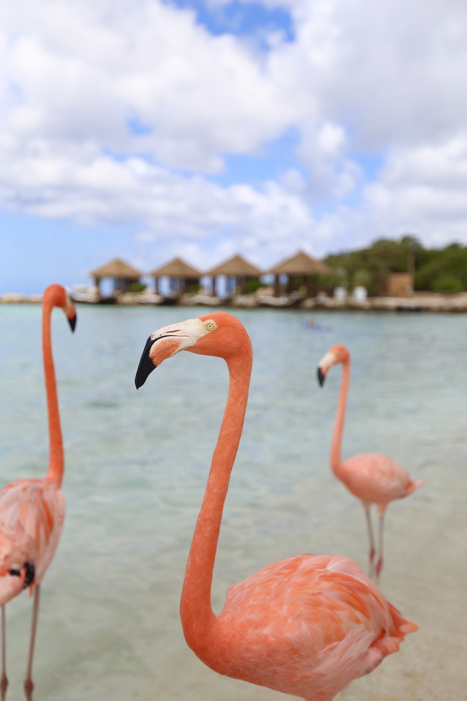 17 Photos to Inspire You to Visit Aruba