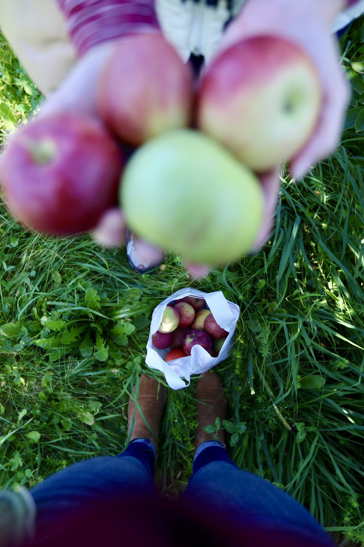 9 Reasons You Should Travel with Your Mom