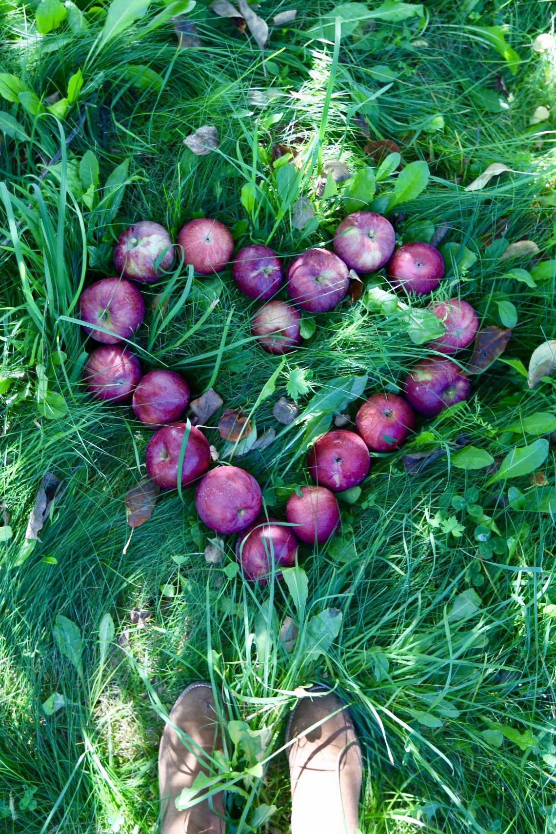 9 Reasons You Should Travel with Your Mom