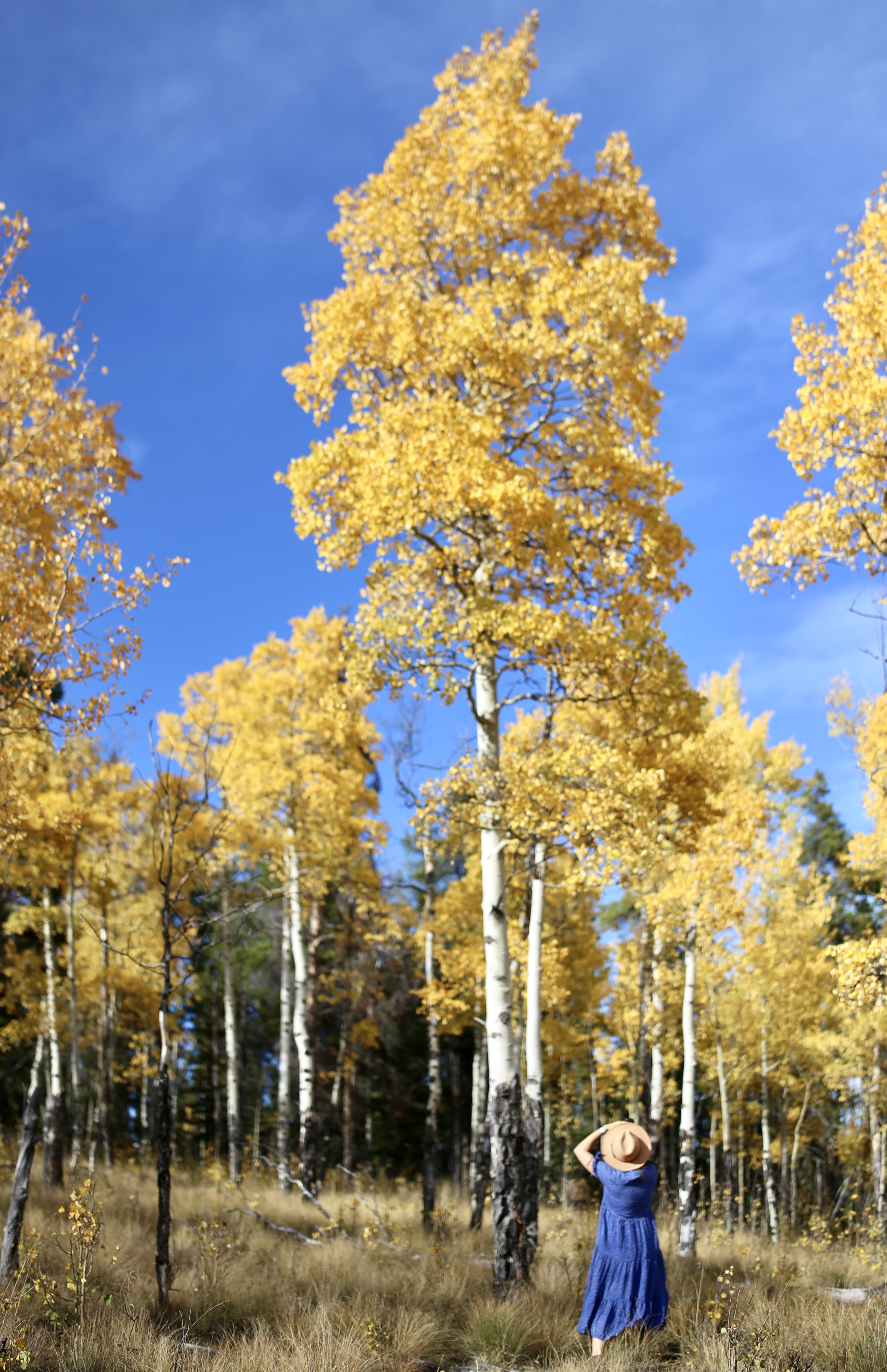 5 Photos to Inspire You to Visit Colorado in the Fall