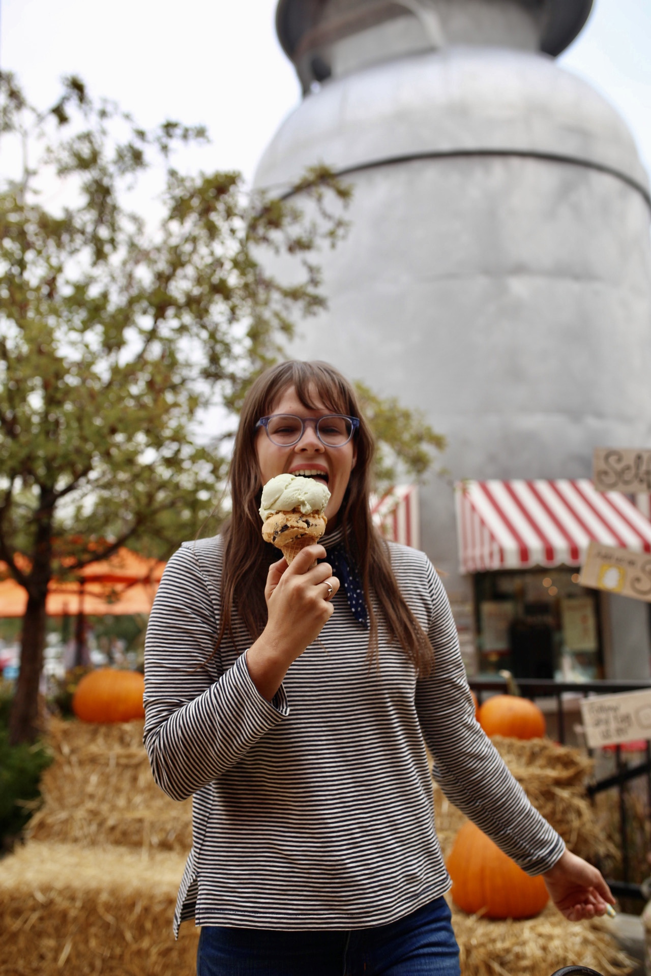 10 Must Do Activities in the Denver Area during Fall with Briggs and Riley - Little Man Ice Cream