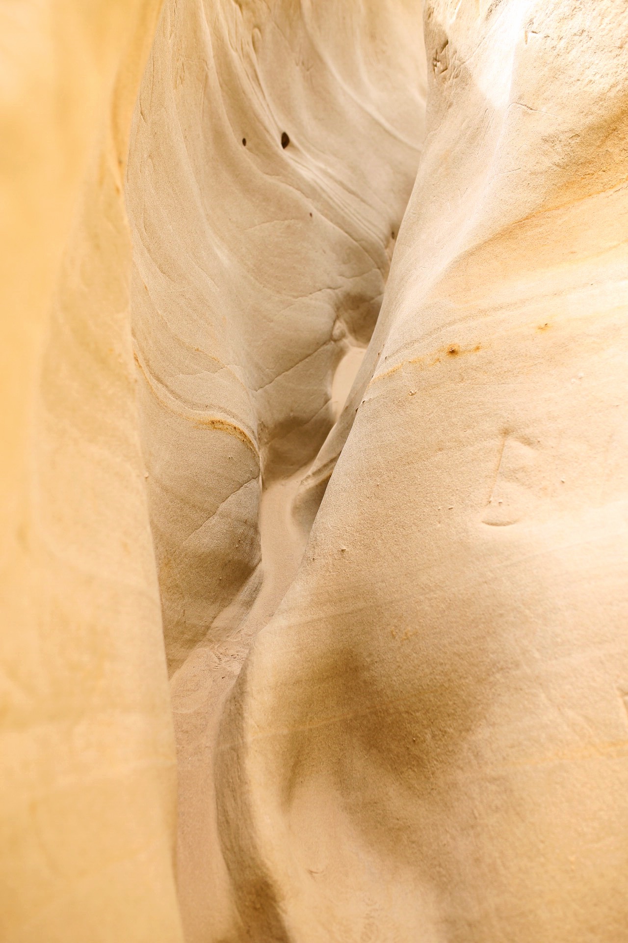 The Ultimate Weekend in San Diego, California - Ho Chi Minh Trail