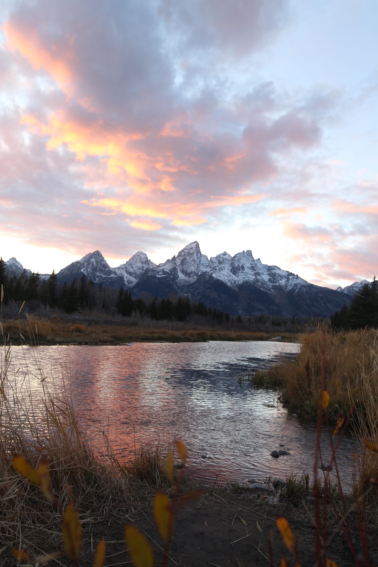 How to visit USA National Parks for FREE + Annual Passes 101