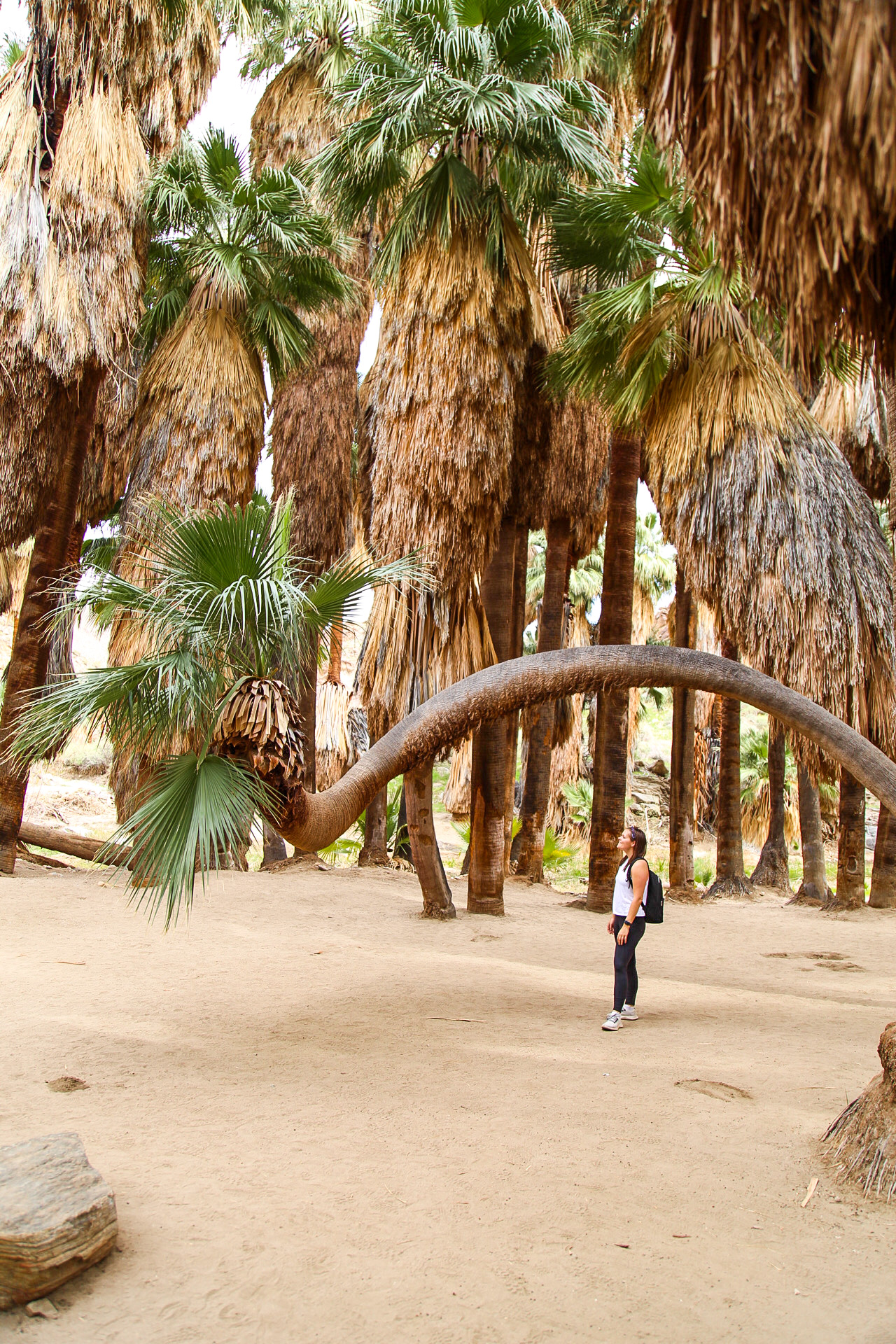 - tips for hiking solo
- hiking boots
- hiking tips for beginners
- hiking tips and tricks
- Hiking for Beginners: 10 Essential Tips
- hiking essentials for beginners
- hiking essentials list
- hiking safety tips for beginners
- what to do during hiking
- solo hiking tips
- solo hiking as a woman
- solo hiking essentials