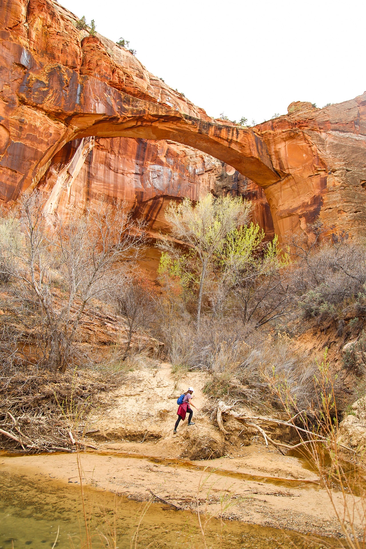 - yonder escalante campground
- yonder escalante
- chic campground
- instaworthy cabins
- RV sites in southern utah
- glamping in southern utah
- glamping near bryce national park
- bryce national park camping
- bryce national park hotels
- best hotels near bryce canyon
- luxury hotels near bryce canyon
- hotels near capitol reef national park
- hotels near escalante utah
- escalante national monument
- where to camp near bryce canyon national park
- unique stays in southern utah
- cute cabins in southern utah
- best glamping spots in southern utah